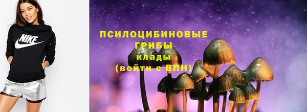 прущие грибы Михайловка