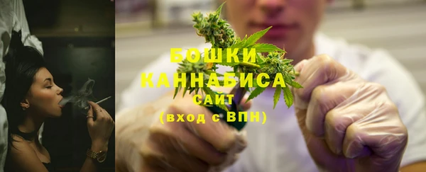 прущие грибы Михайловка